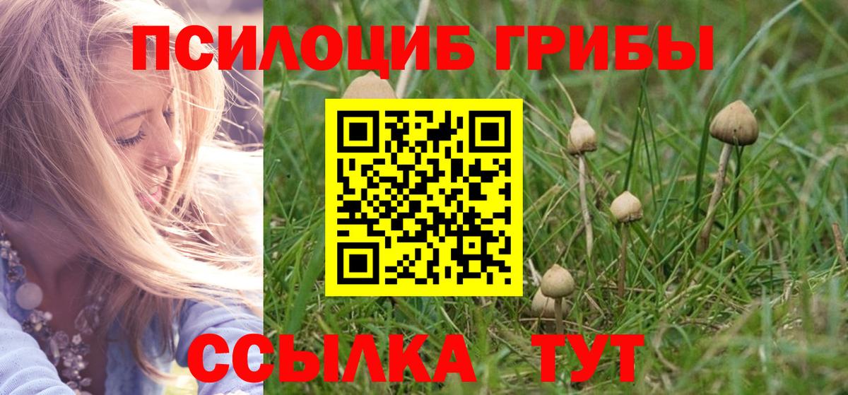 Лесозаводск  цена наркотик  Вход с VPN  Псилоцибиновые грибы Magic Shrooms 
